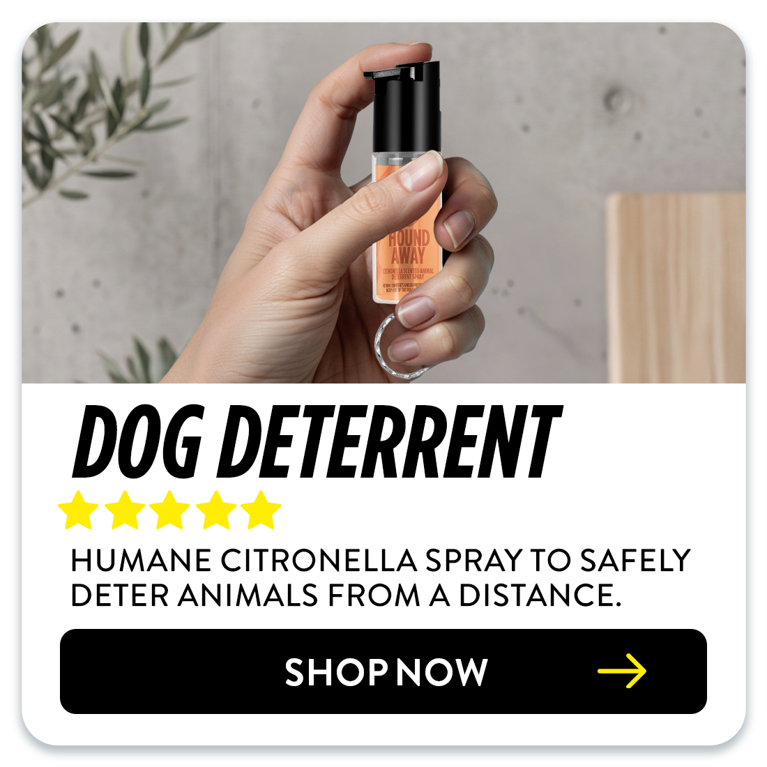 Dog Deterrent
