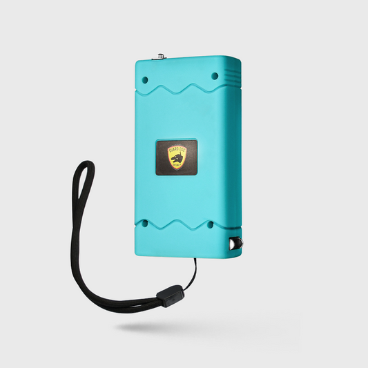Stun Gun with Flashlight – 160 Lumen and Disable Pin | Disabler