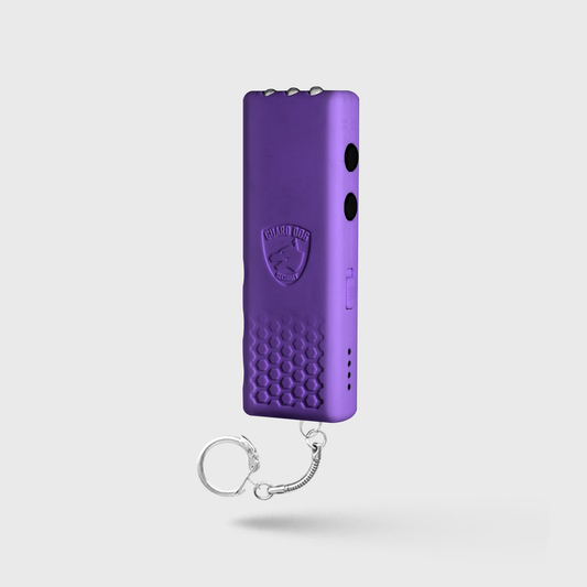 Stun Gun Hornet Plus with Flashlight | 110 Lumen w/ Charging Indicator
