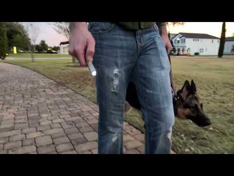 Stun Gun Pen Enlight with Flashlight | 110 Lumen w/ Charging Indicator