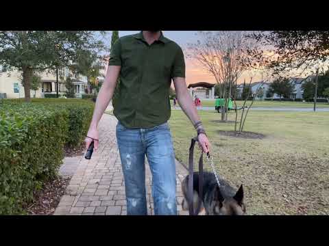 Stun Gun Diablo 2 with Flashlight | 320 Lumen and 3-Function Light