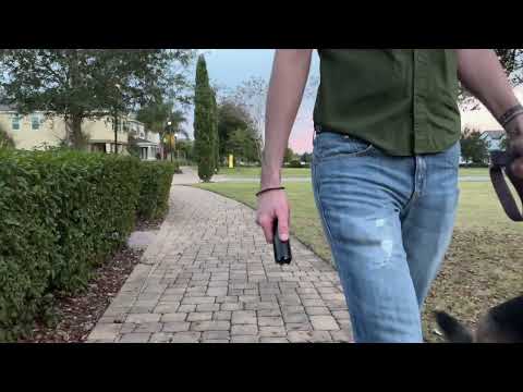 Stun Gun Katana with Flashlight | 400 Lumen w/ Glass Breaker