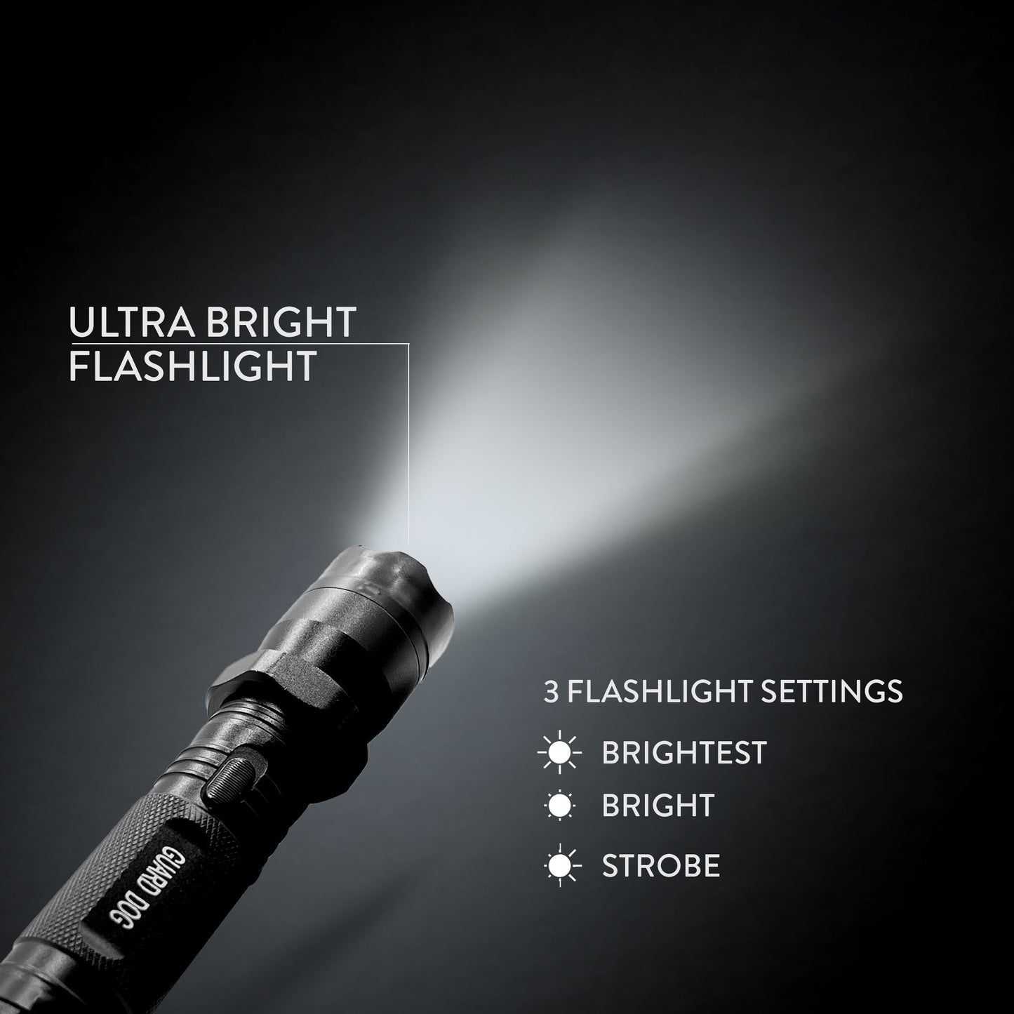 
                  
                    Diablo - Stun Gun Flashlight Concealed Stun 3 Functions - Stun Gun
                  
                